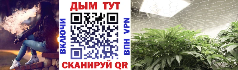 Купить наркотики Безенчук Кетамин Меф Псилоцибиновые грибы Гашиш Марихуана Бутират