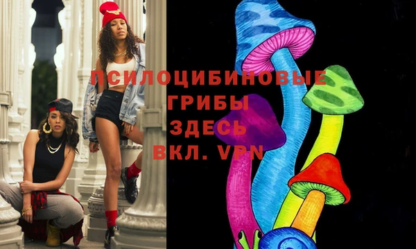 таблы Алексеевка